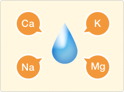 4種類のミネラルを配合し、水の味をととのえます